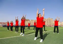 关于赛地聚焦：意大利杯冲刺阶段热度飙升，上海海港回应争议，目标明确，数据趋势出现新变化的信息